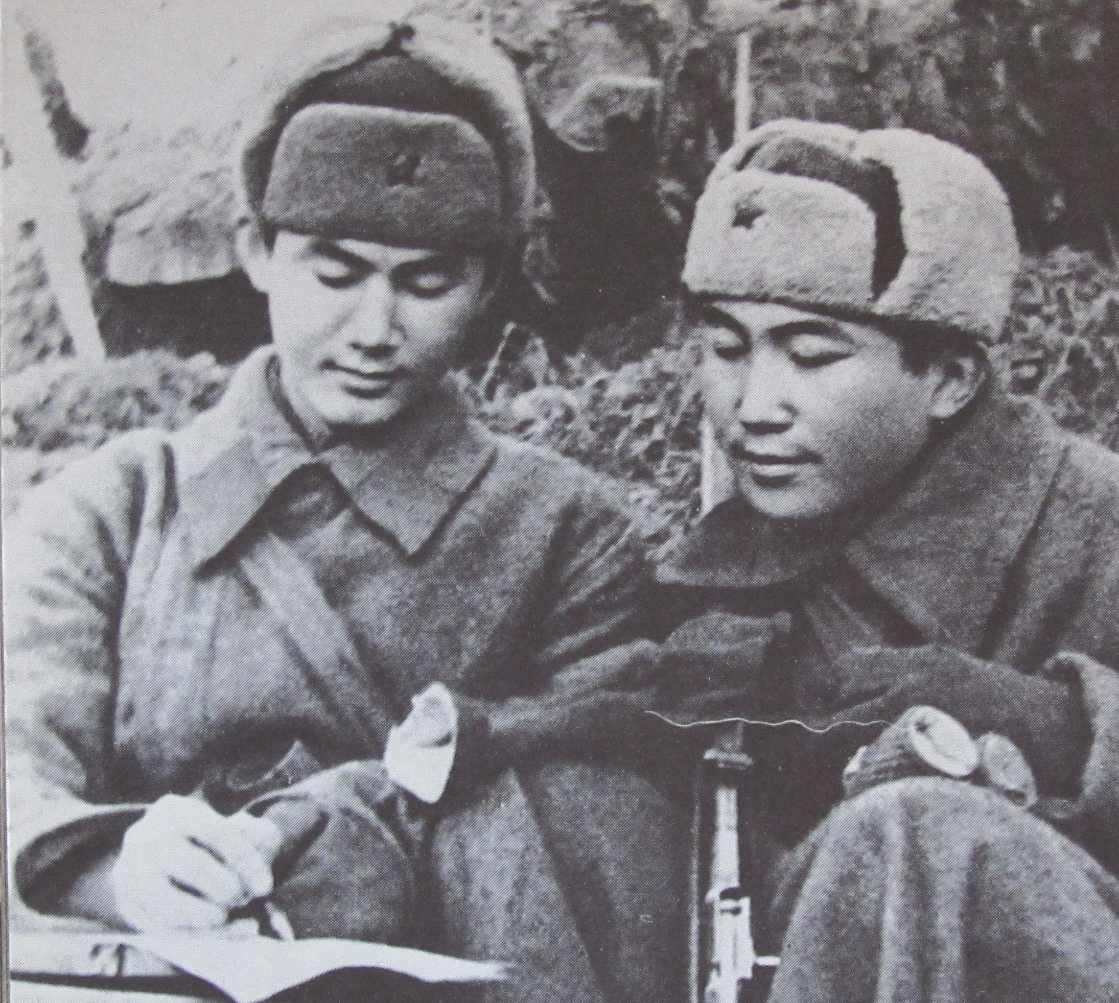 Акмолинские дивизии