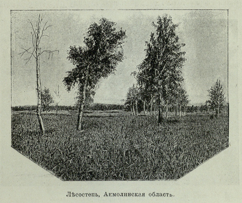 Картина казахской степи 1867 года. Часть 5