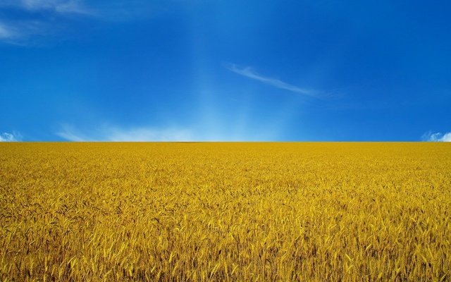 История в символах