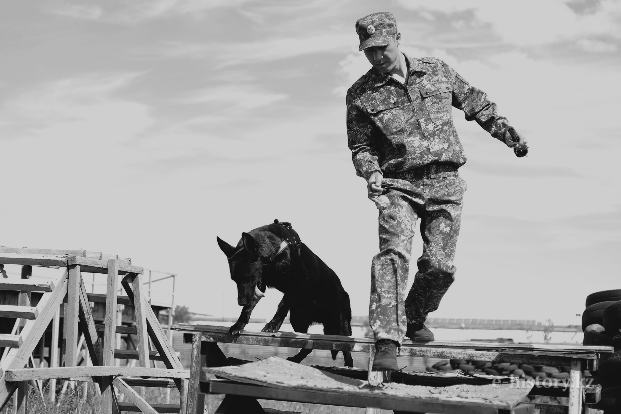 Man's Best Friend