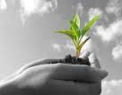 The modernization of macroeconomic policy